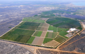 agrobras - fazenda