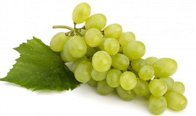 bundle-of-green-grapes_new